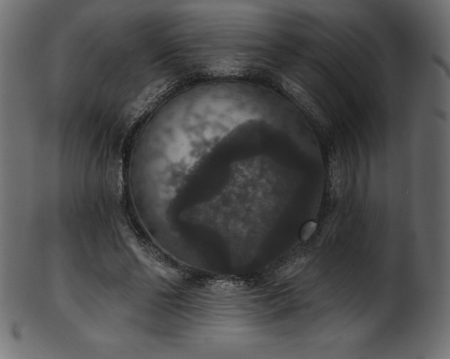 X0000102040494200807181515