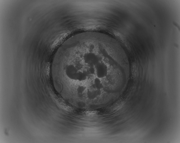 X0000102040495200807181515