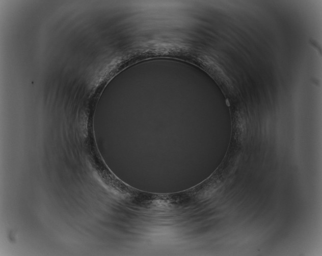 X0000102040496200807181515