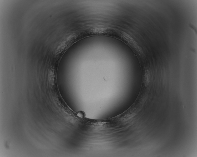 X0000102040497200807181515