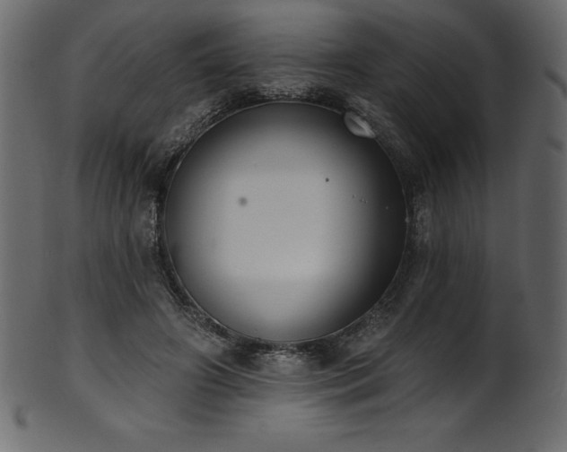 X0000102040498200807181515