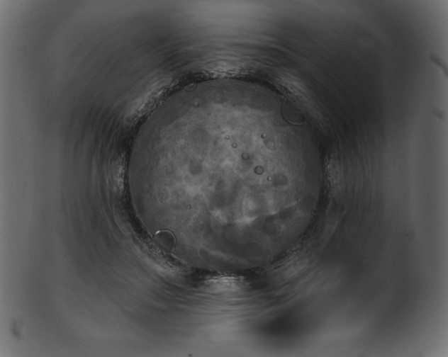 X0000102040499200807181515