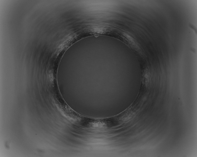 X0000102040500200807181515