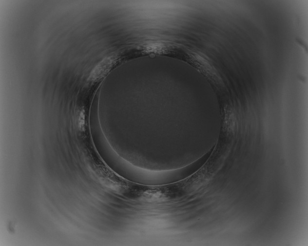 X0000102040502200807181515