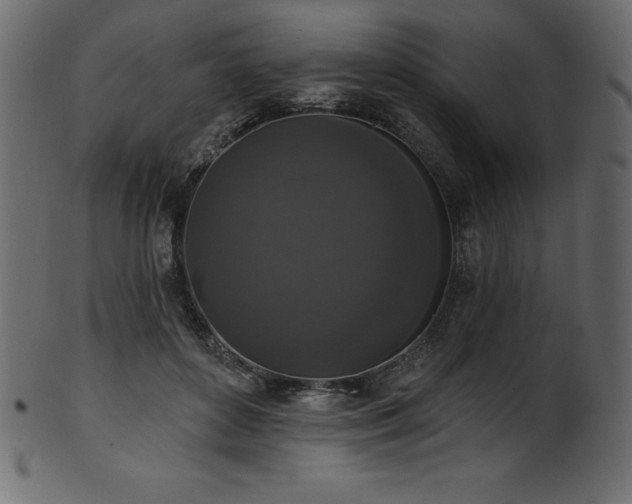 X0000102040504200807181515