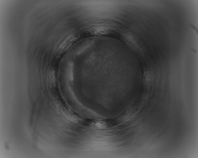 X0000102040506200807181515