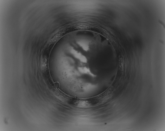 X0000102040507200807181515