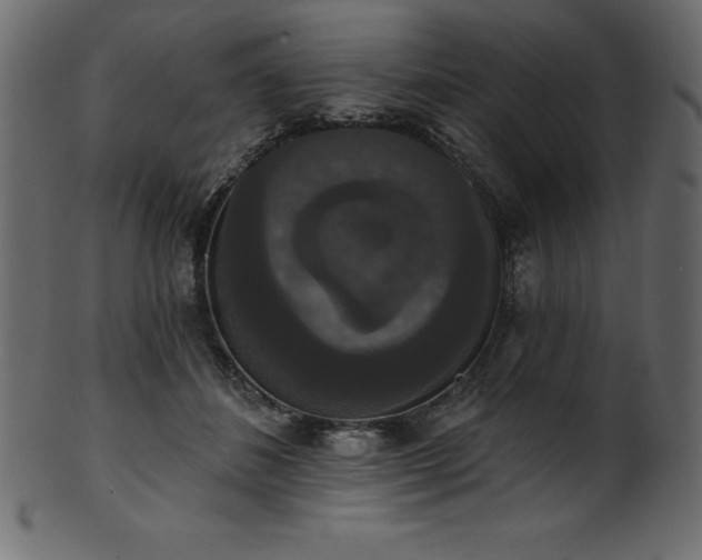 X0000102040508200807181515