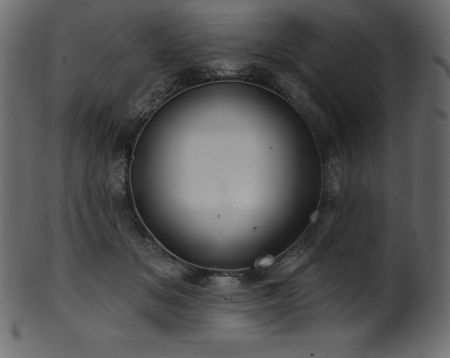 X0000102040509200807181515