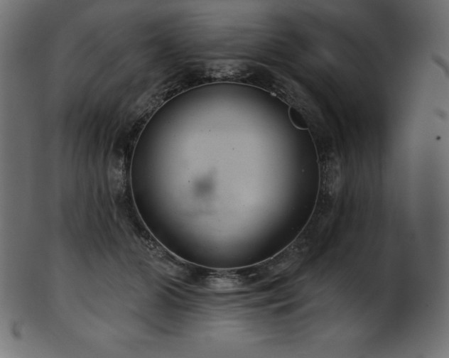 X0000102040510200807181515