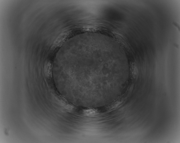 X0000102040511200807181515