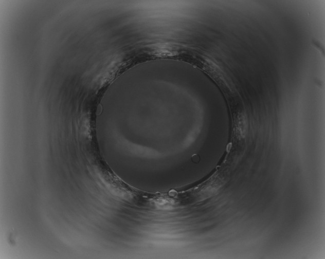 X0000102040512200807181515