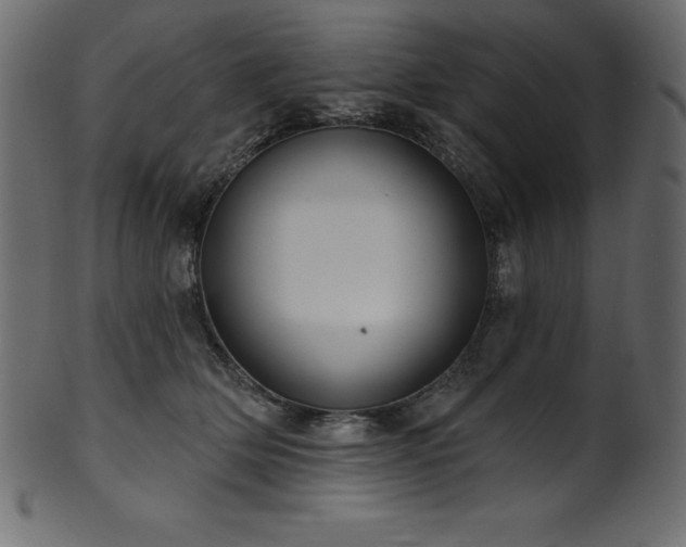 X0000102040514200807181515