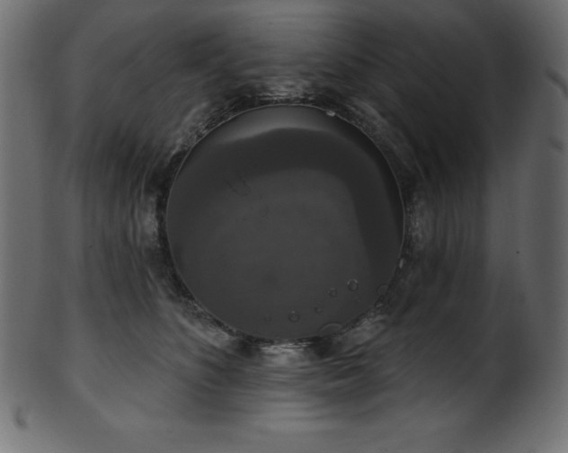 X0000102040516200807181515