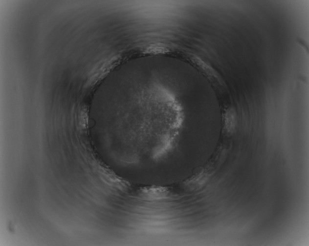 X0000102040517200807181515