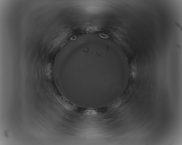 X0000102040519200807181515