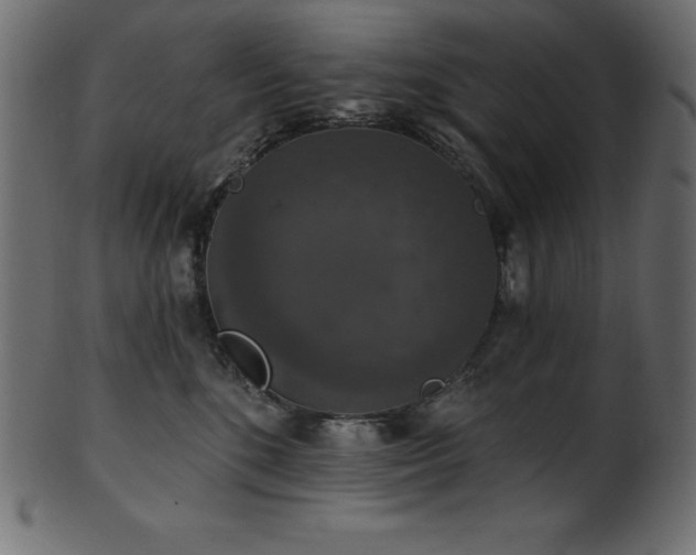 X0000102040520200807181515