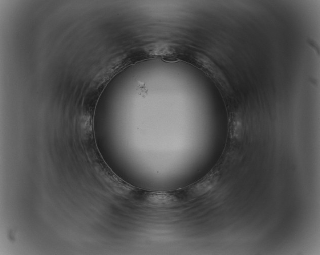 X0000102040521200807181515