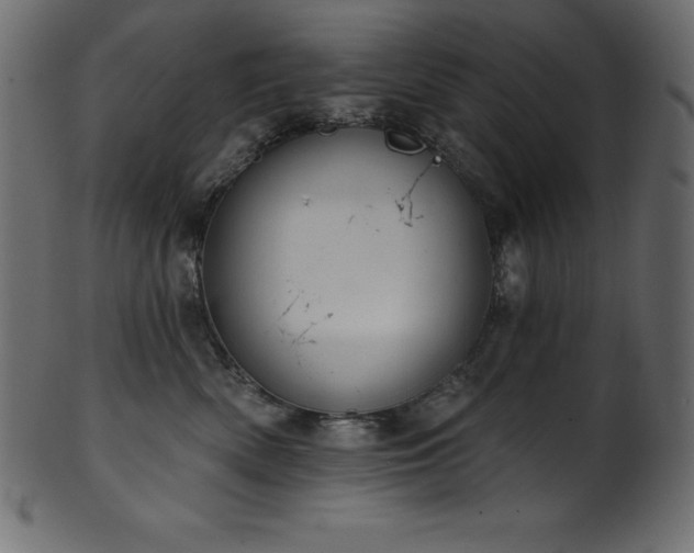 X0000102040522200807181515