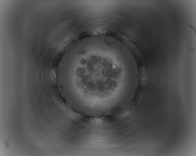 X0000102040523200807181515