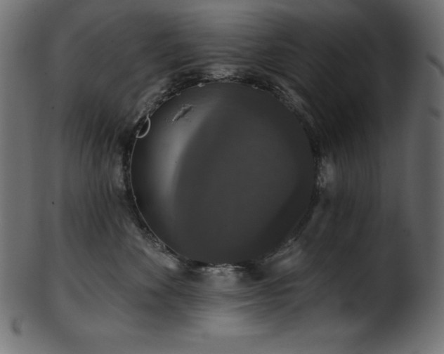 X0000102040524200807181515