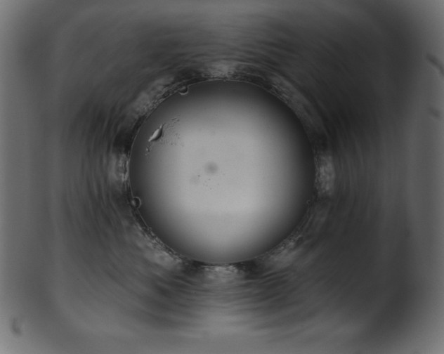 X0000102040525200807181515