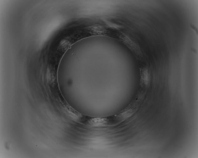 X0000102040526200807181515