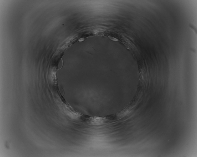 X0000102040527200807181515