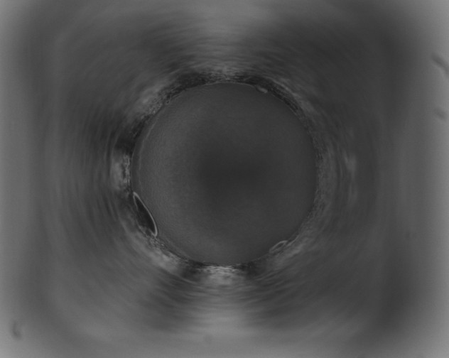 X0000102040528200807181515