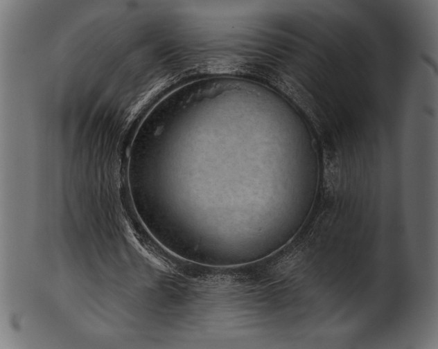 X0000102040530200807181514