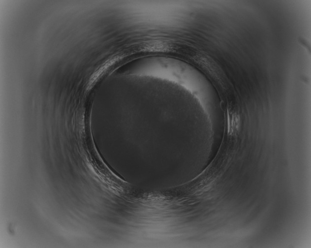 X0000102040531200807181514