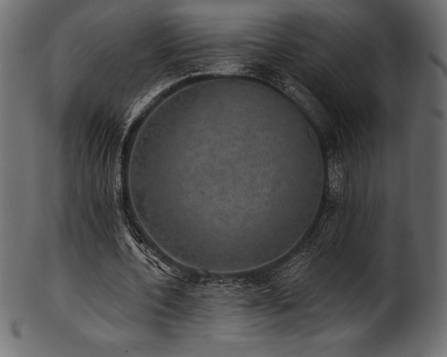 X0000102040532200807181514