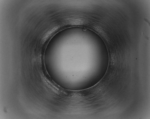 X0000102040535200807181514