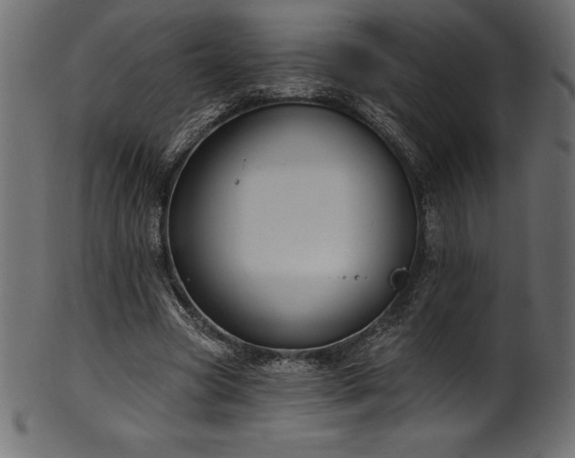 X0000102040537200807181514