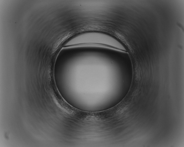 X0000102040538200807181514