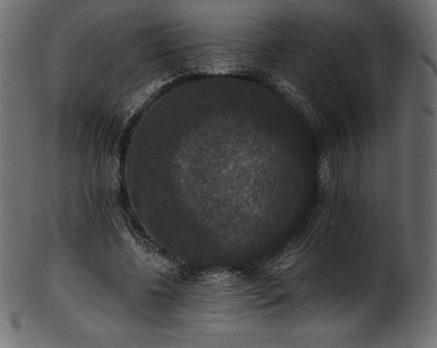 X0000102040540200807181514