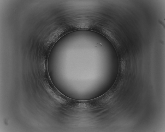 X0000102040541200807181514