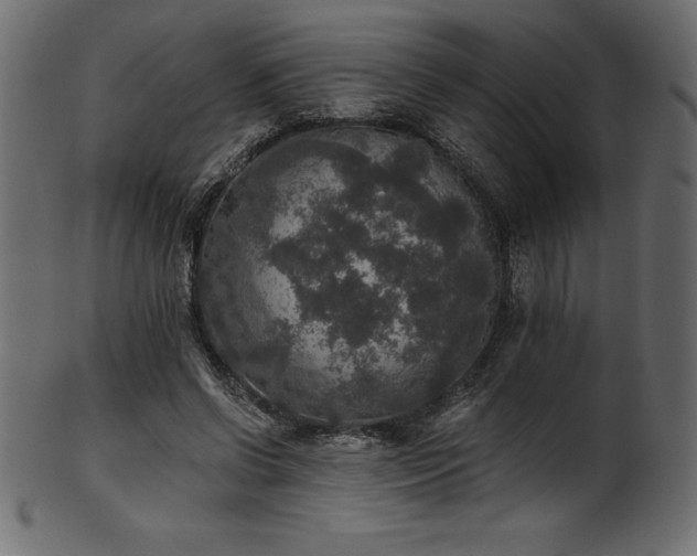 X0000102040542200807181514