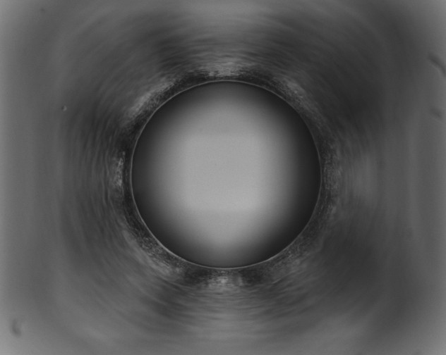 X0000102040543200807181514