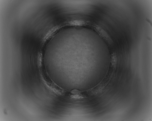 X0000102040544200807181514