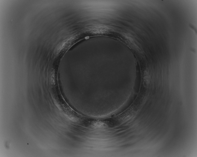 X0000102040547200807181514