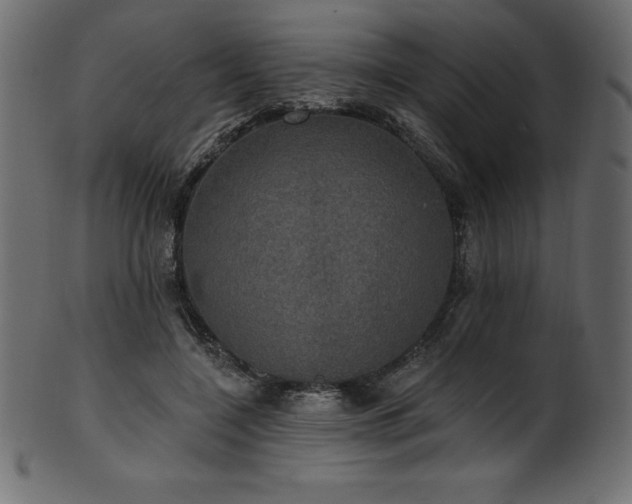 X0000102040548200807181514