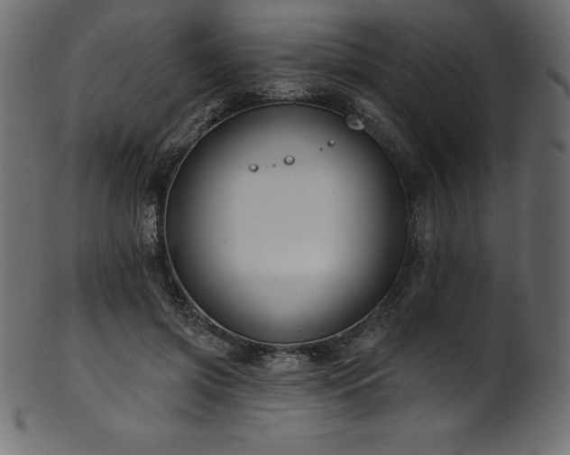 X0000102040549200807181514