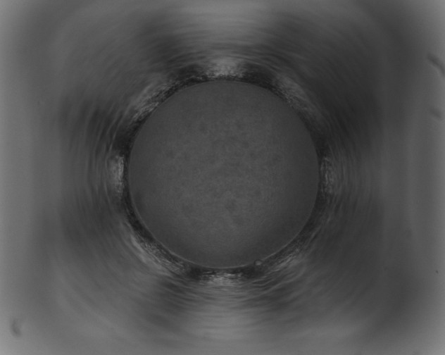 X0000102040550200807181515