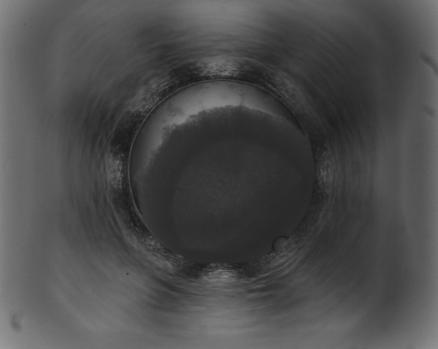 X0000102040551200807181515