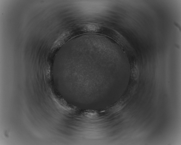 X0000102040552200807181515