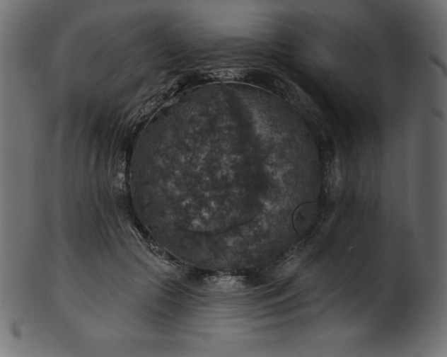 X0000102040553200807181515