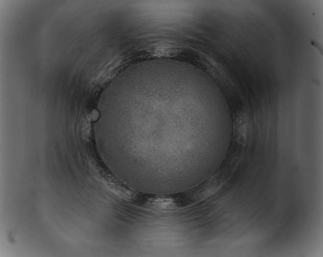 X0000102040554200807181515