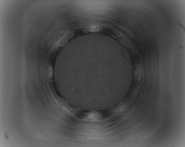 X0000102040555200807181515