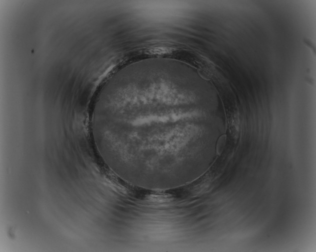 X0000102040556200807181515